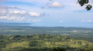 Over 40 Acres of Hillside Forest with Gorgeous Ocean and River Views