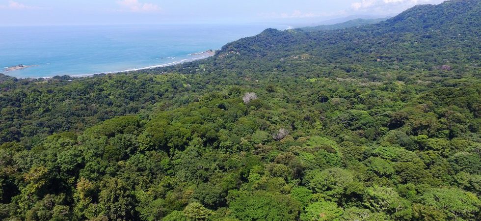 9 Acre Escaleras Land Parcel with Ocean Views Above Dominical