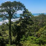 Premier Land Parcel for Sale in Dominical