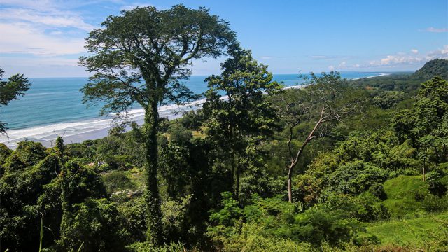 Premier Land Parcel for Sale in Dominical