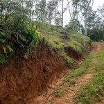 Internal Road Along Property Line