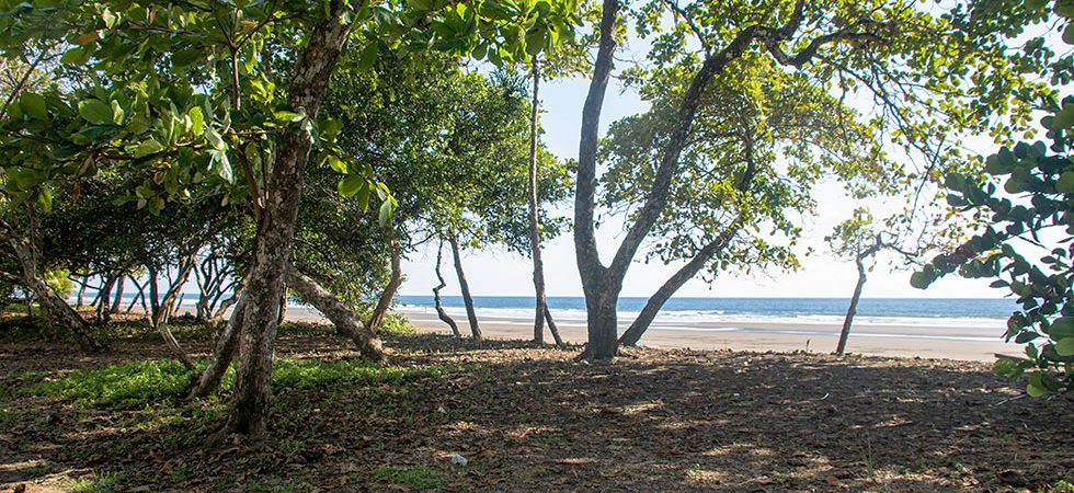 Premier Beachfront Lots for Sale Just North of Dominical