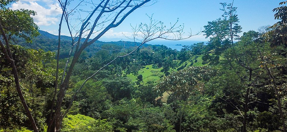 Over 34 Acres with Multiple Building Sites and Ocean Views Above Uvita