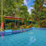 Large Tropical Pool