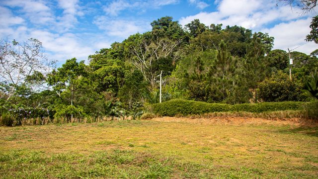 Large Graded Home Site