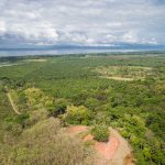 Affordable Home Sites in Playa Matapalo