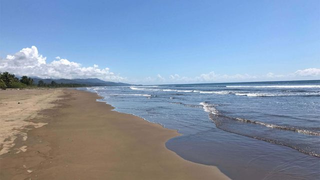 Minutes to Playa Matapalo