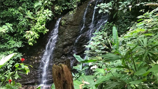 Community Waterfall