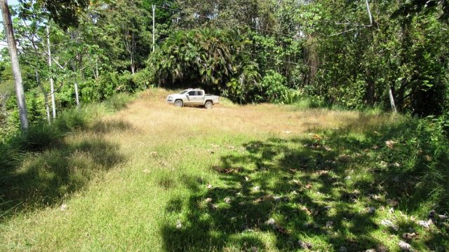 1.4-Acre Property