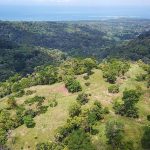 227 Acres Subdivided Lots