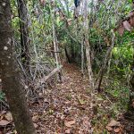 Hiking Trails