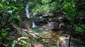 Over 16 Acres in Tres Rios with Eco-Tourism Opportunity