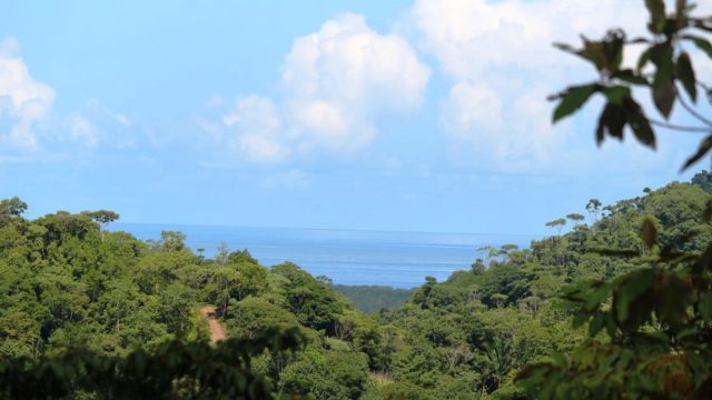 Affordable Ocean View Property in Tres Rios