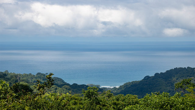 Whitewater View