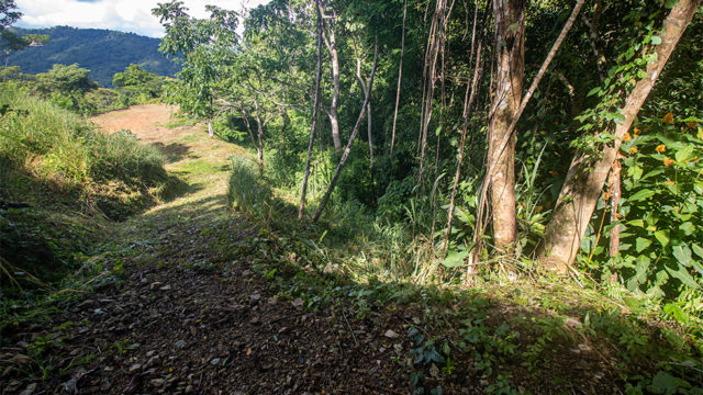 Bordering a Seasonal Creek