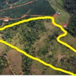 14.46 Acre Property in San Isidro Costa Rica