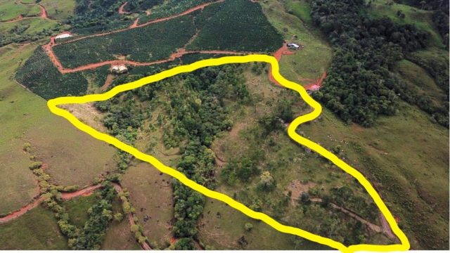 14.46 Acre Property in San Isidro Costa Rica