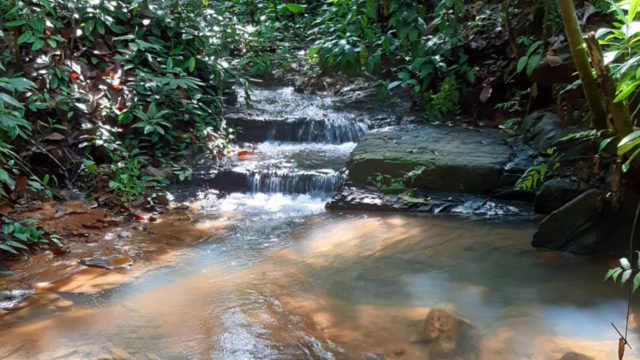Year-Round Creek