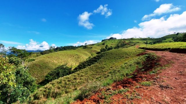 Gentle Rolling Hillsides