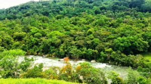 Riverside Farm Near San Geraldo Region Perfect for Permaculture