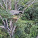 Unique Treehouse