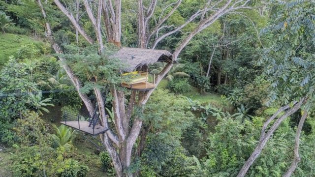 Unique Treehouse