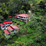 Turnkey Jungle Eco-Hotel for Sale Near Dominical