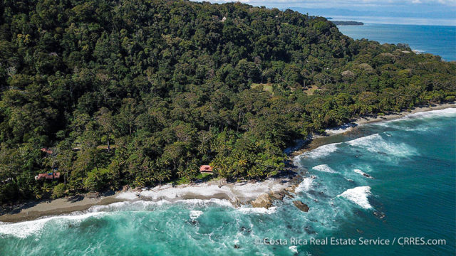 14.3 Acre Oceanfront Property in Osa Peninsula