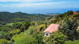 Home in Lagunas with Panoramic Ocean Views near Dominical