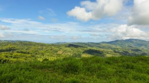 Over 100 Acre Property in Platanillo with Ocean View and 4 Springs