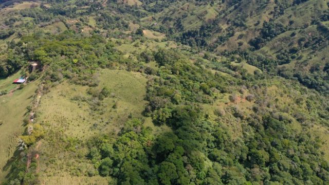 37 Acres