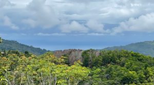 Ocean View Property with Power and Legal Water Near Dominical Beach