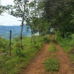 2wd Road