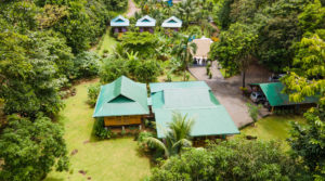 Jungle View Eco Lodge And Cabinas In Ojochal