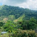 1.2 Acre Property
