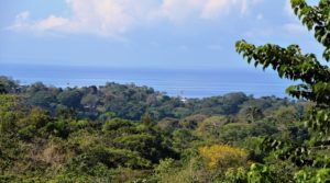 Ocean and Mountain View Lot in Ojochal Minutes To Local Beaches