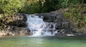 Stunning Whale’s Tail Ocean View Parcel With Private Waterfalls In Uvita