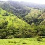72 Acre Property Uvita