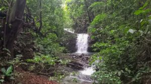 Riverfront Ocean View Horse Ranch With Waterfalls In Tierra Morenas