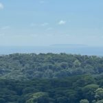 Caño Island Views