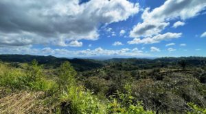4 Acres of Residential Farm Land Southern Costa Rica