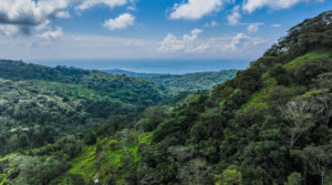 Beautiful 72 Acre Farm In Uvita With Waterfalls And Ocean Views