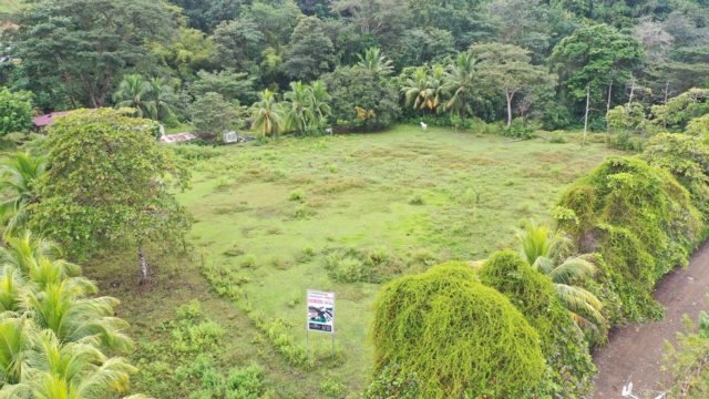 Commercial Building Opportunity
