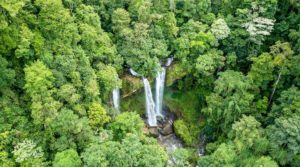 150 Acres Of Prime Farm Land At The Base Of Diamante Waterfall