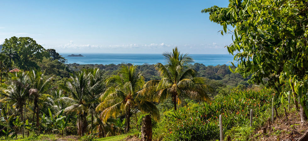 Highway Frontage Property in Uvita with Whale Tail Ocean View