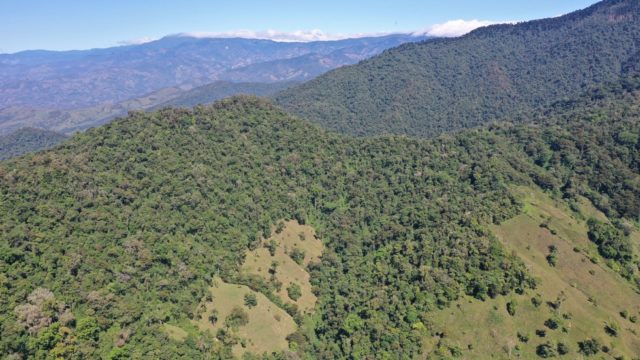 325 Acres in San Isidro del General