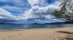 220 Acres Beachside Farm with Ocean View at Playa Junquillal in Guanacaste