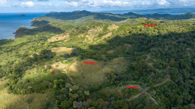 Multiple Building Locations