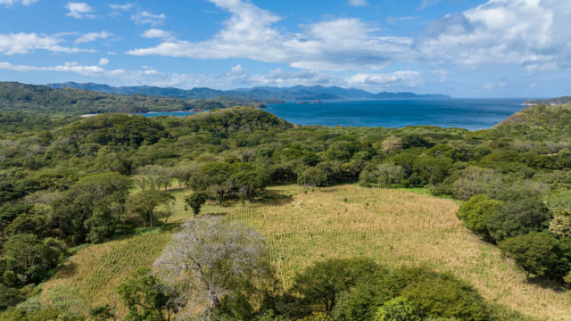 Close to Main Highway
