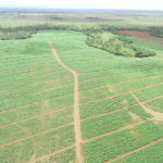 1,494 Acres of Arable Land